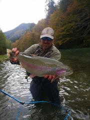 Rok and Rainbow trout S